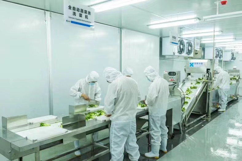 数智赋能，未来已来——厨房智能进化论