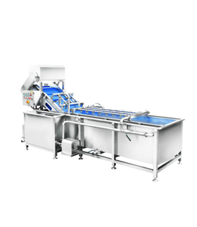 连续式洗菜机